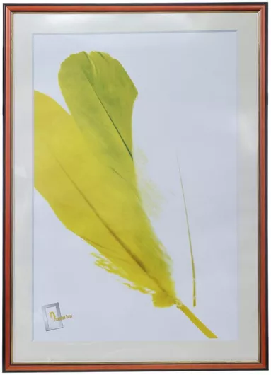 Κορνίζα 108098 Ξύλινη για Φωτογραφία 70x100cm Μαύρο/Κόκκινο