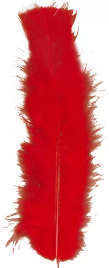 Αποκριάτικο Αξεσουάρ Widmann Φτερά 10cm Κόκκινο