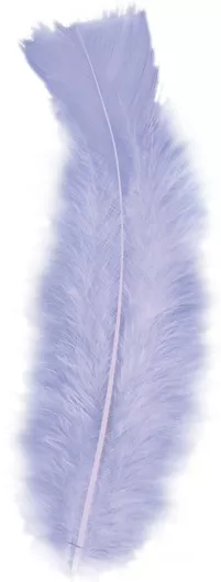 Αποκριάτικο Αξεσουάρ Widmann Φτερά 10cm Μοβ