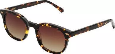 Unisex Γυαλιά Ηλίου Gast Τετράγωνα 50mm με Καφέ Φακό & Ταρταρούγα Σκελετό