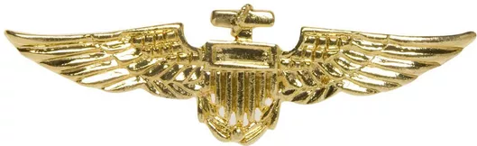 Αποκριάτικο Αξεσουάρ Widmann Καρφίτσα Aviator Χρυσό