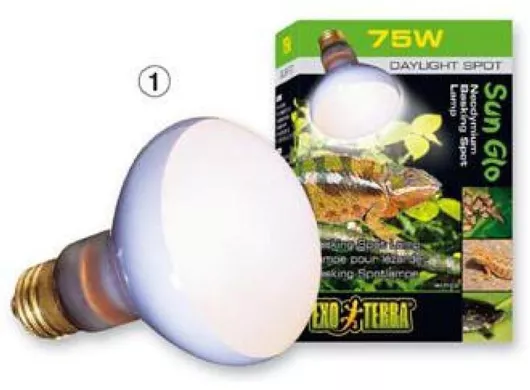 Λάμπα Ενυδρείου Ερπετού Exo Terra Sun Glo Basking Spot Lamp 75W