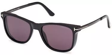 Unisex Γυαλιά Ηλίου Tom Ford Wayfarer 53mm με Γκρι Φακό & Μαύρο Σκελετό