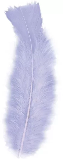 Σετ Αποκριάτικα Φτερά Πλάτης Boland Λιλά 10cm 50τχ