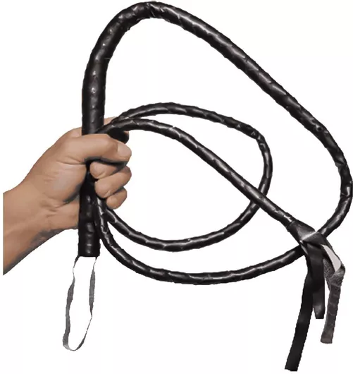 Αποκριάτικο Μαστίγιο