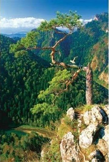 Puzzle Sokolica, Poland 2D 1000 Κομμάτια