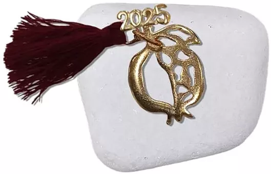 Γούρι Επιτραπέζιο Deris Μεταλλικό Ρόδι σε Βότσαλο