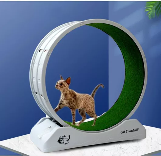 Τροχός Άσκησης Γάτας Animal Πλαστικός 80x35x85cm Γκρι