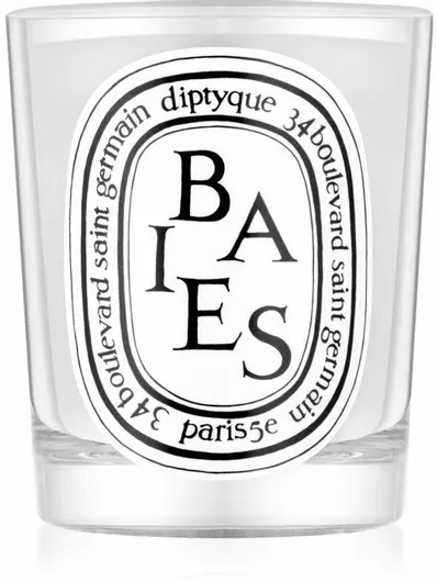 Αρωματικό Κερί Diptyque σε Βάζο με Άρωμα Baies 190gr