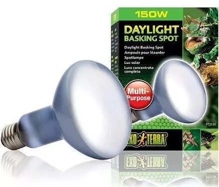 Αξεσουάρ Ενυδρείου Ερπετών Exoterra Daylight Basking Spot