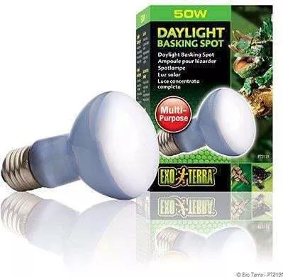 Αξεσουάρ Ενυδρείου Ερπετών Exo Terra Basking Spot