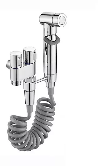 Επιτοίχιο Σετ Μπιντέ Ντουζ 2 σε 1 με Διακόπτη Παύσης Ροής Ασημί