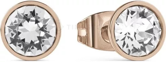 Γυναικεία Σκουλαρίκια Καρφωτά Guess από Ατσάλι με Πέτρες 