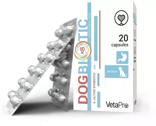 Συμπλήρωμα Διατροφής Σκύλου VetaPro Dog Biotic για Πεπτικό Σύστημα 20 Κάψουλες 100gr