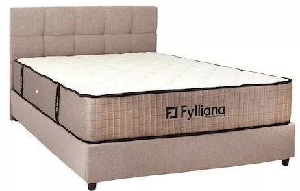 Κρεβάτι Fylliana Augusta Υπέρδιπλο Επενδυμένο με Ύφασμα & Αποθηκευτικό Χώρο για Στρώμα 160x200cm Καφέ