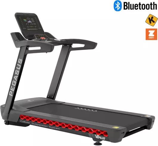 Διάδρομος Γυμναστικής Pegasus V9 Ηλεκτρικός 5hp για Χρήστη έως 180kg