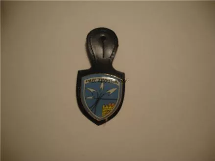 Σήμα All About Army Κονκάρδα 113 Πτέρυγα Μάχης