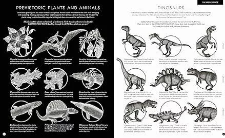 Illumisaurus