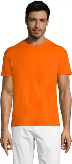 Sol's Regent Ανδρικό Διαφημιστικό T-shirt Κοντομάνικο Πορτοκαλί