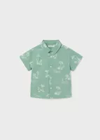 variation-icon-Green Lichen