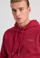 variation-icon-Vivid Burgundy