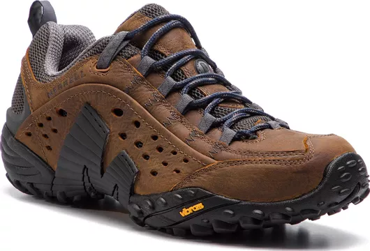 Merrell Intercept Ανδρικά Ορειβατικά Παπούτσια Καφέ