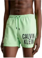 variation-icon-Gingko