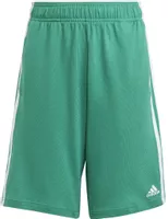 variation-icon-Πράσινο