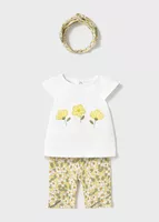 variation-icon-Pale Canary