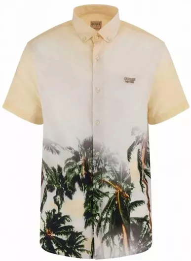 Guess Collins Aop Shirt Κοντομάνικο Βαμβακερό Πουκάμισο σε Κανονική Γραμμή Πολύχρωμο