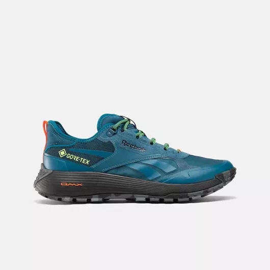 Reebok Dmx Trail Gtx Trail Running Αδιάβροχα με Μεμβράνη Gore-Tex Blue / Black