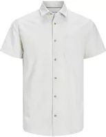variation-icon-Ambience White