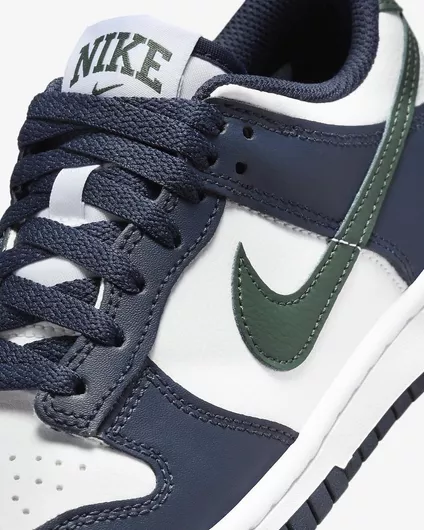 Nike Dunk Παιδικά Sneakers Πολύχρωμα