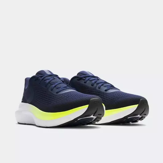 Αθλητικό Παπούτσι Under Armour Charged Rogue 5 Ανδρικό Running μπλε