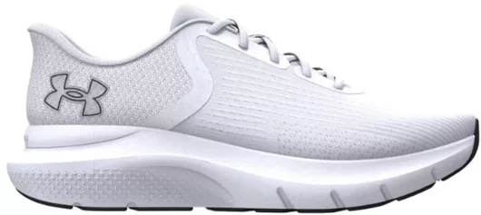 Under Armour Rogue 5 Ανδρικά Αθλητικά Παπούτσια Running White / White / Black