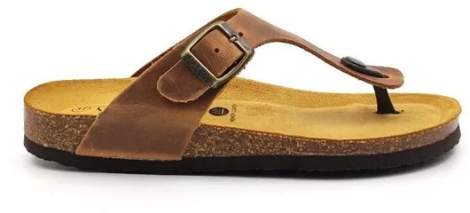 Plakton Γυναικεία Σανδάλια Apure Roble