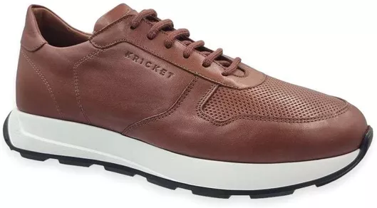 Ανδρικά Sneakers Καφέ