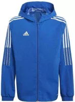 variation-icon-Fading Night