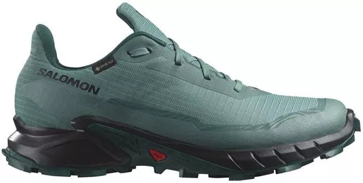 Salomon Alphacross 5 Trail Running Αδιάβροχα με Μεμβράνη Gore-Tex North Atlantic / Black / Sea Moss