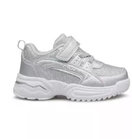 variation-icon-Ασημί