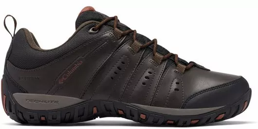 Columbia Woodburn II Ανδρικά Ορειβατικά Παπούτσια Αδιάβροχα Καφέ