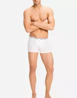 variation-icon-Snowberry