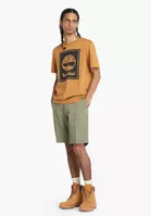 variation-icon-Πράσινο