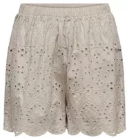 variation-icon-Ασημί