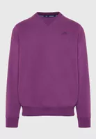 variation-icon-Bruise