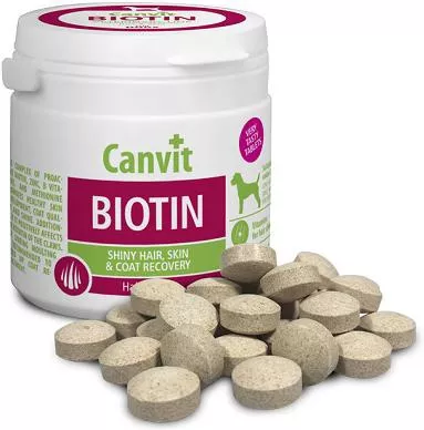 Συμπλήρωμα Διατροφής Σκύλου Canvit Dog Biotin για Δέρμα & Τρίχωμα 90 Ταμπλέτες
