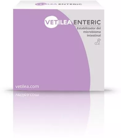 Συμπλήρωμα Διατροφής Σκύλου Vetilea Enteric Πρεβιοτικό Προβιοτικό & Μεταβιοτικό 22.5gr
