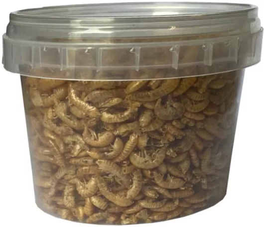 Τροφή Ερπετών για Χελώνες Γαρίδα 500ml/60gr