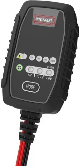 Amarad Automatic Lead-Acid and Lithium (LiFePO4) Battery Charger 6V-12V 2.5A