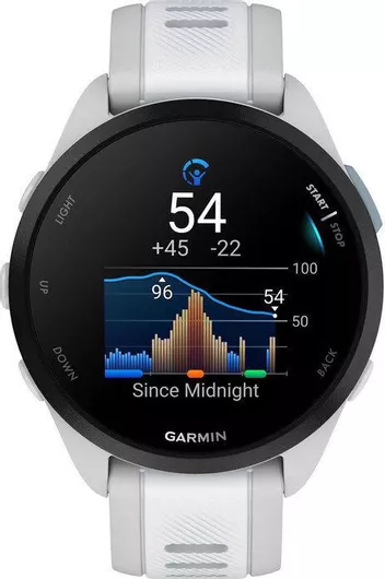 Smartwatch Garmin Forerunner 165 43mm  (Mist Gray/Whitestone)